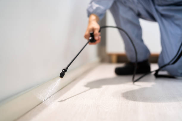 Professional exterminator conducting IPM assessment in La Follette