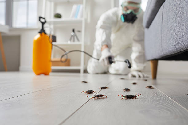 Post-Treatment Bed Bug Interceptor Monitoring in La Follette