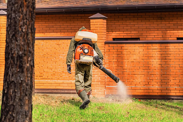 Bed Bug Clearance Verification and Documentation in La Follette